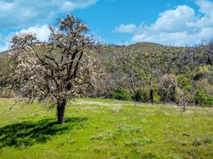 540 Music Gulch Rd, Mokelumne Hill, CA 95245 Photo