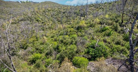 540 Music Gulch Rd, Mokelumne Hill, CA 95245 Photo