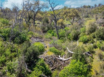 540 Music Gulch Rd, Mokelumne Hill, CA 95245 Photo