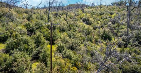 540 Music Gulch Rd, Mokelumne Hill, CA 95245 Photo