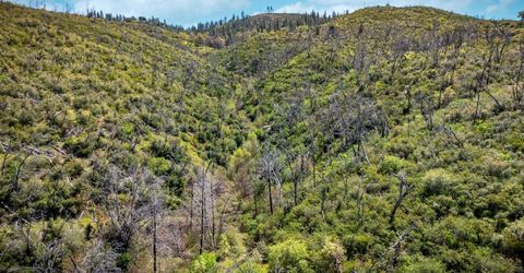 540 Music Gulch Rd, Mokelumne Hill, CA 95245 Photo