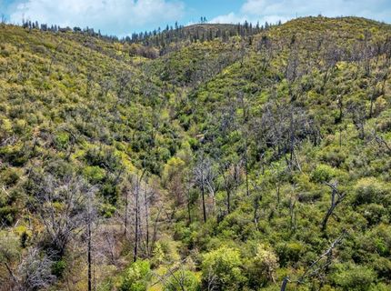 540 Music Gulch Rd, Mokelumne Hill, CA 95245 Photo
