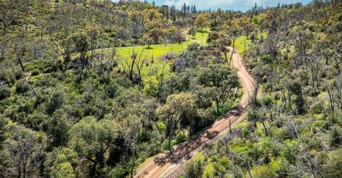 540 Music Gulch Rd, Mokelumne Hill, CA 95245 Photo