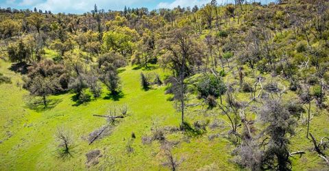 540 Music Gulch Rd, Mokelumne Hill, CA 95245 Photo