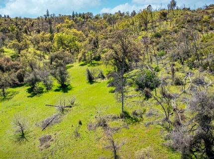 540 Music Gulch Rd, Mokelumne Hill, CA 95245 Photo
