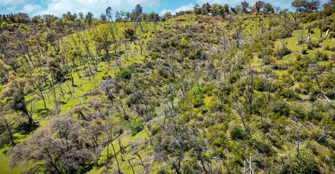 540 Music Gulch Rd, Mokelumne Hill, CA 95245 Photo