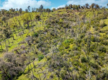 540 Music Gulch Rd, Mokelumne Hill, CA 95245 Photo