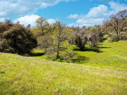 540 Music Gulch Rd, Mokelumne Hill, CA 95245 Photo