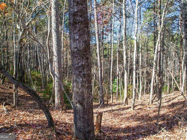 LOT 26 Waldrip Road, Dawsonville, GA 30534