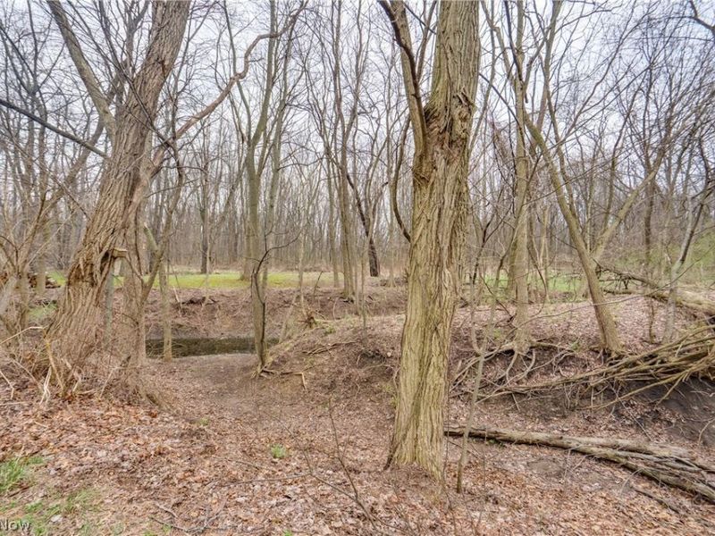 6180 Drexel Street NW, Massillon, OH 44646 Photo 44