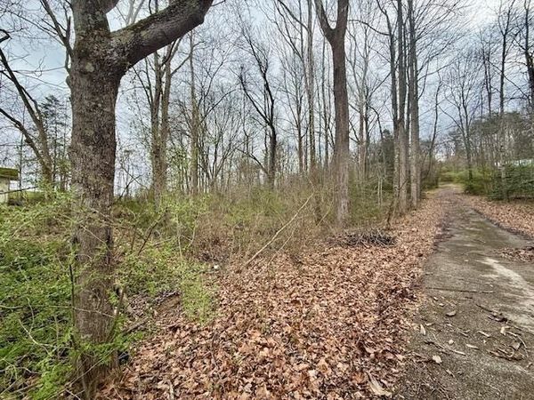 Lot #16 Horton Flats Road, Olive Hill, KY 41164