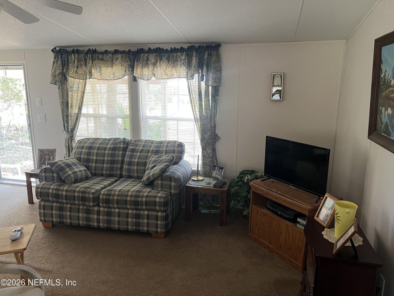 223 Oak Ridge Drive, Welaka, FL 32193 Photo