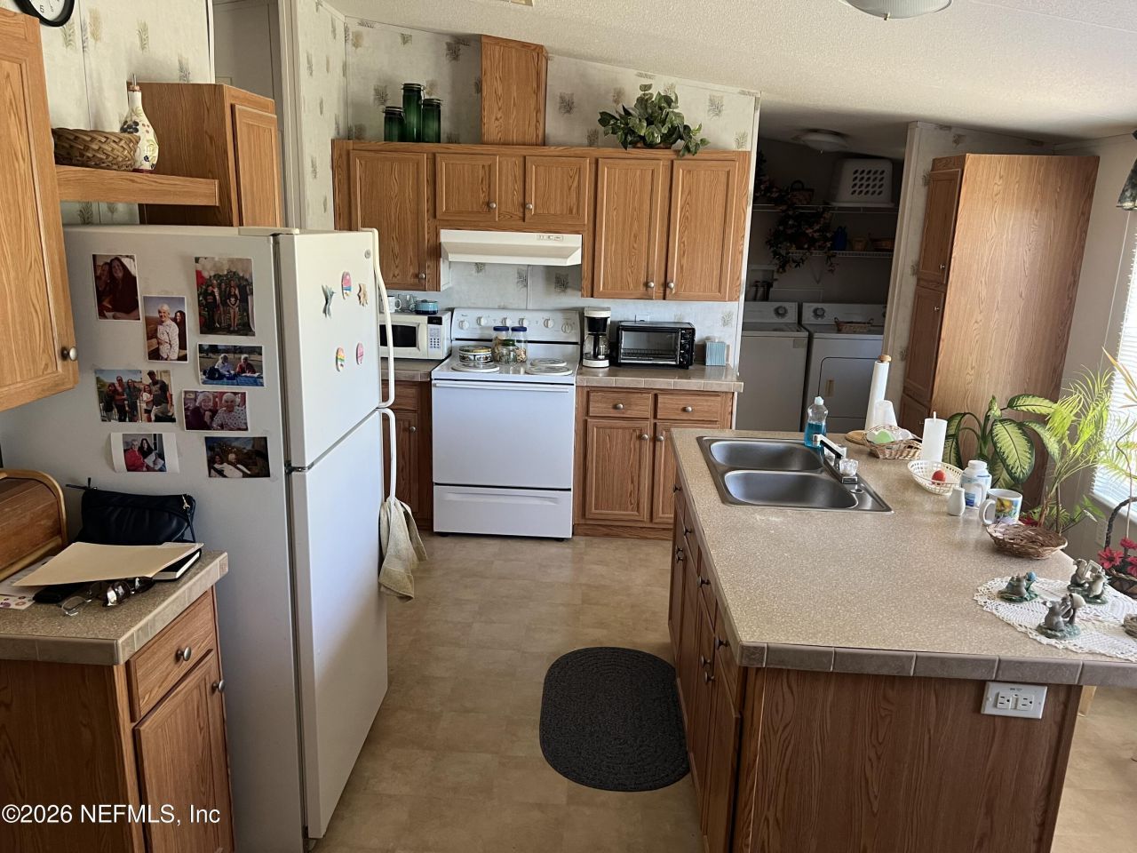 223 Oak Ridge Drive, Welaka, FL 32193 Photo