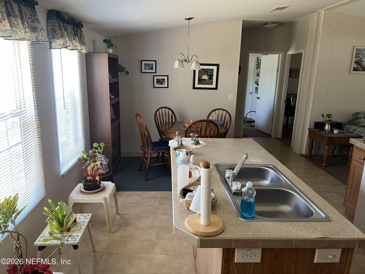 223 Oak Ridge Drive, Welaka, FL 32193 Photo