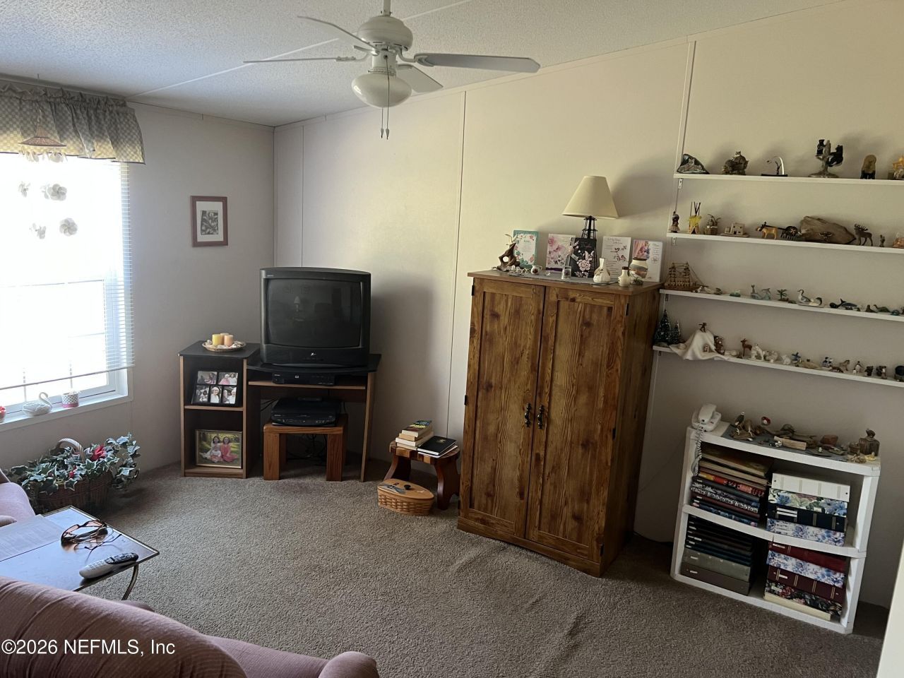 223 Oak Ridge Drive, Welaka, FL 32193 Photo