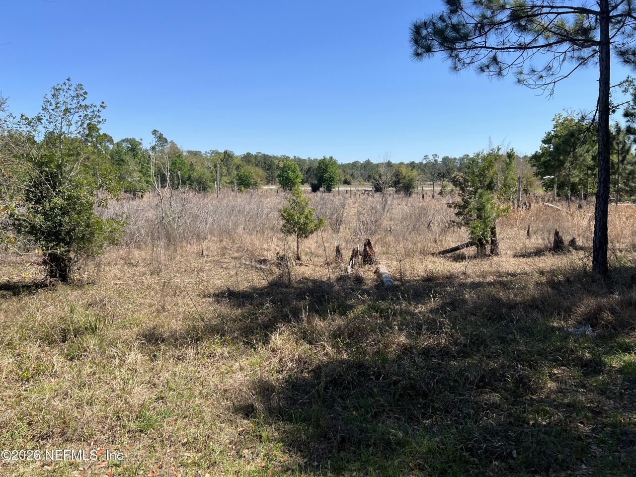 223 Oak Ridge Drive, Welaka, FL 32193 Photo