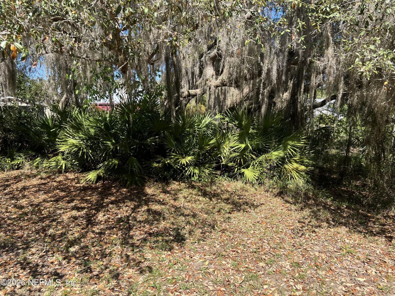 223 Oak Ridge Drive, Welaka, FL 32193 Photo