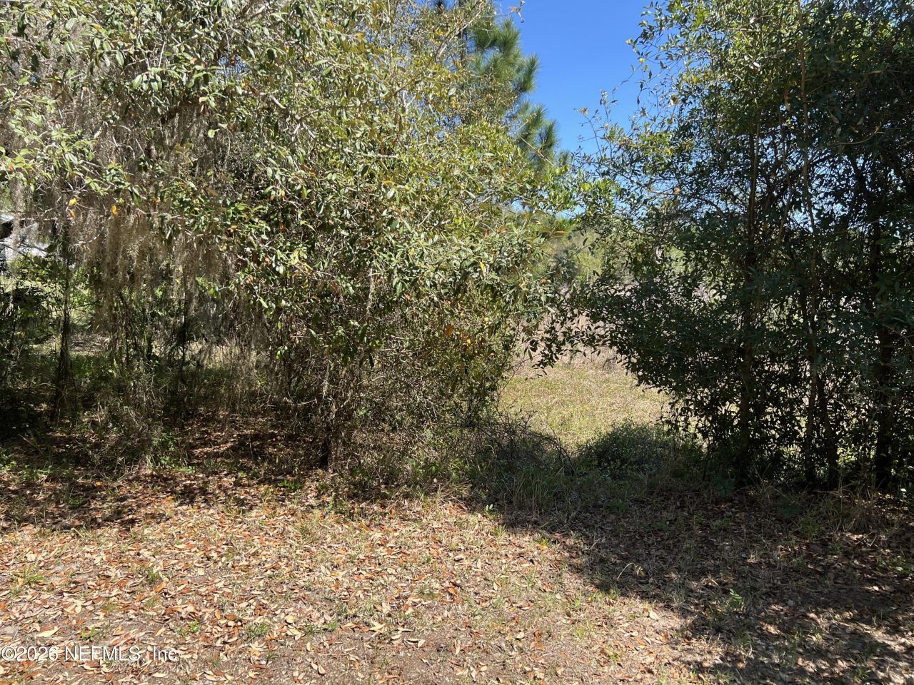 223 Oak Ridge Drive, Welaka, FL 32193 Photo