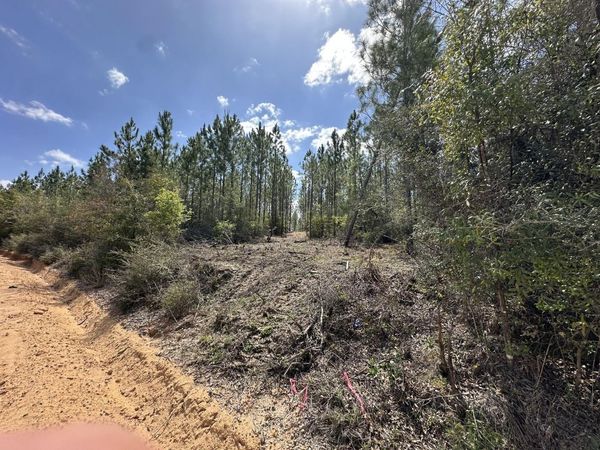Tract#6418 Mattox Springs, Unit South 3, Caryville, FL 32427
