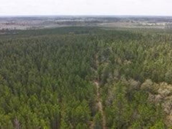 Tract#6418 Mattox Springs Road , Unit S3, Caryville, FL 32427