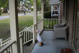 1616 Dogwood Street photo 4