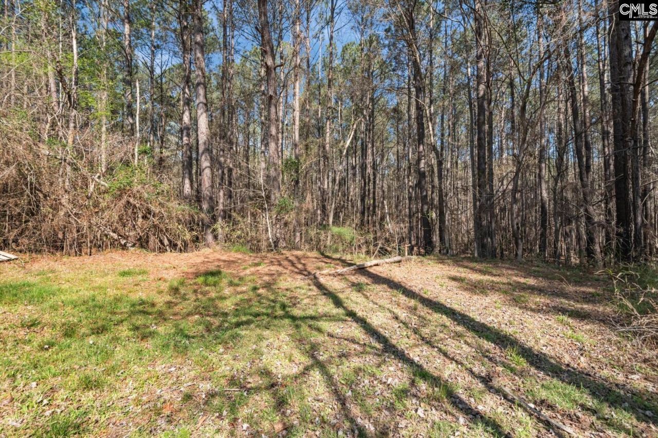 179 Smith Young Road  Photo 34