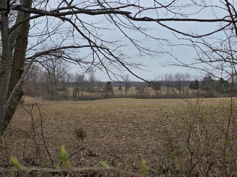 5127 Millerstown Road , Urbana, OH 43078 Photo 8