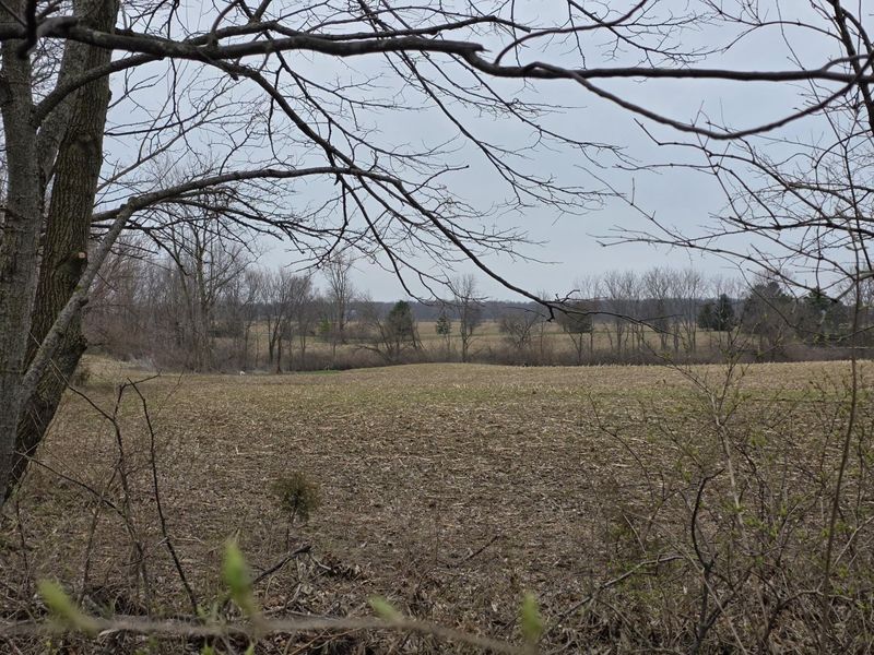 5217 Millerstown E Road, Urbana, OH 43078 Photo 8