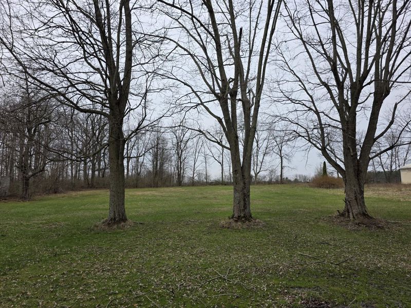 5217 Millerstown E Road, Urbana, OH 43078 Photo 9