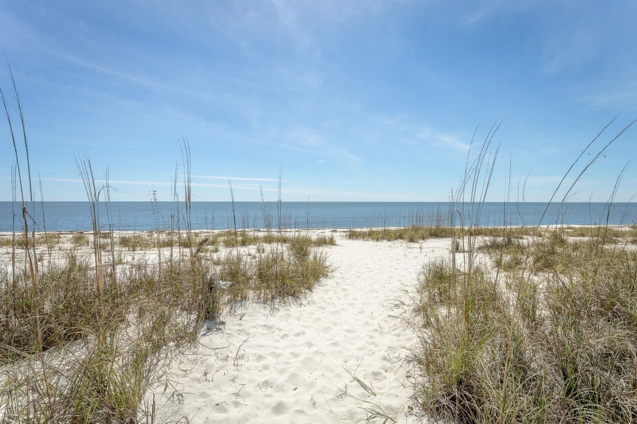 1139 Alligator Drive, Alligator Point, FL 32346 Photo