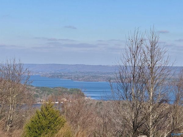 302 Mccorkle Mountain Road, Scottsboro, AL 35769