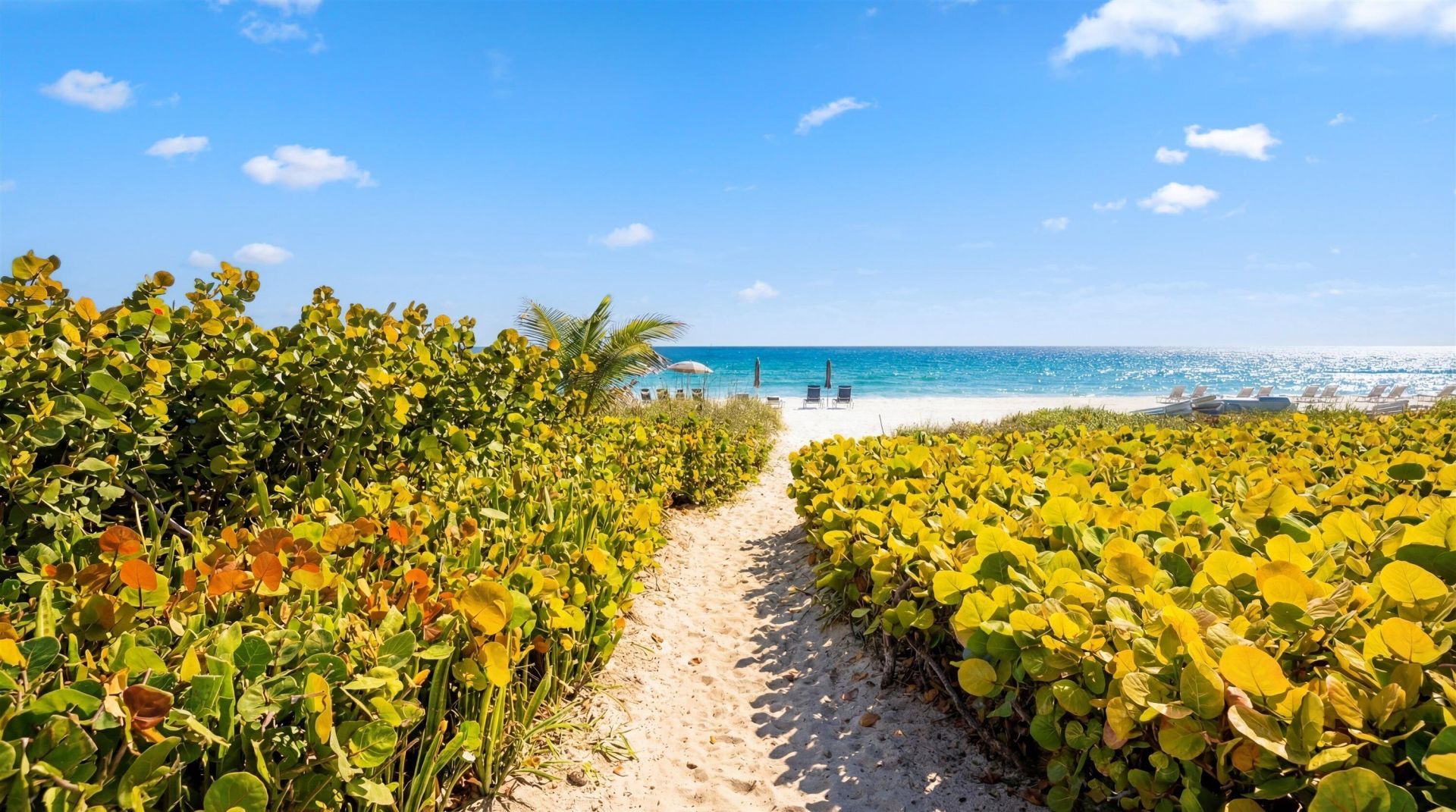 2784 S Ocean Boulevard, Unit 405n, Palm Beach, FL 33480 Photo