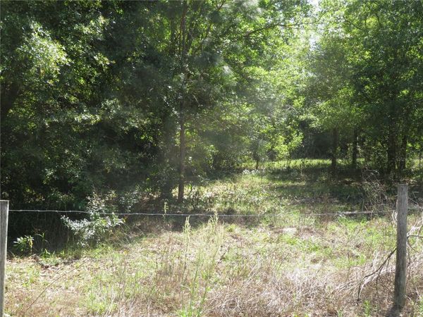 SAN ANTONIO, FL 33576