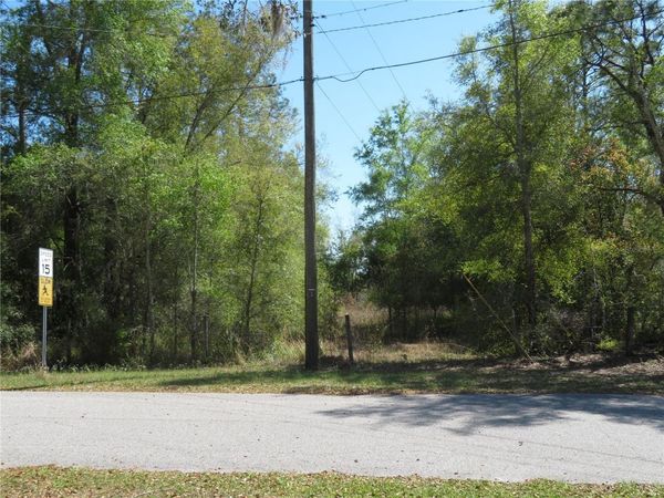 SAN ANTONIO, FL 33576