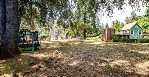 19805 Shake Ridge Rd, Volcano, CA 95689 Photo