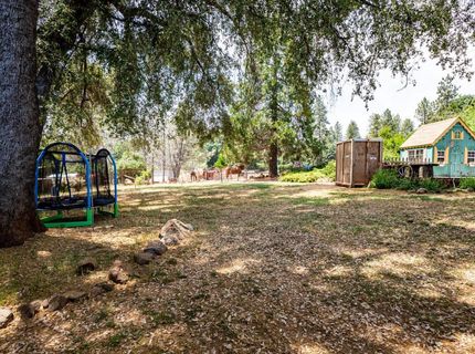 19805 Shake Ridge Rd, Volcano, CA 95689 Photo