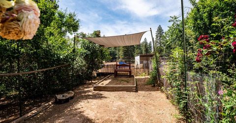 19805 Shake Ridge Rd, Volcano, CA 95689 Photo