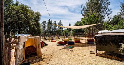 19805 Shake Ridge Rd, Volcano, CA 95689 Photo
