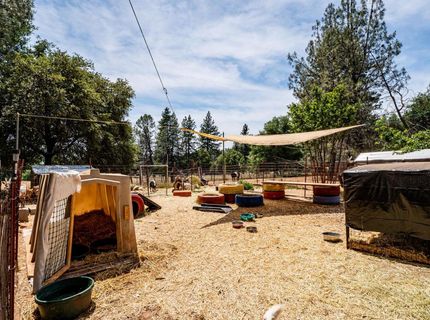 19805 Shake Ridge Rd, Volcano, CA 95689 Photo