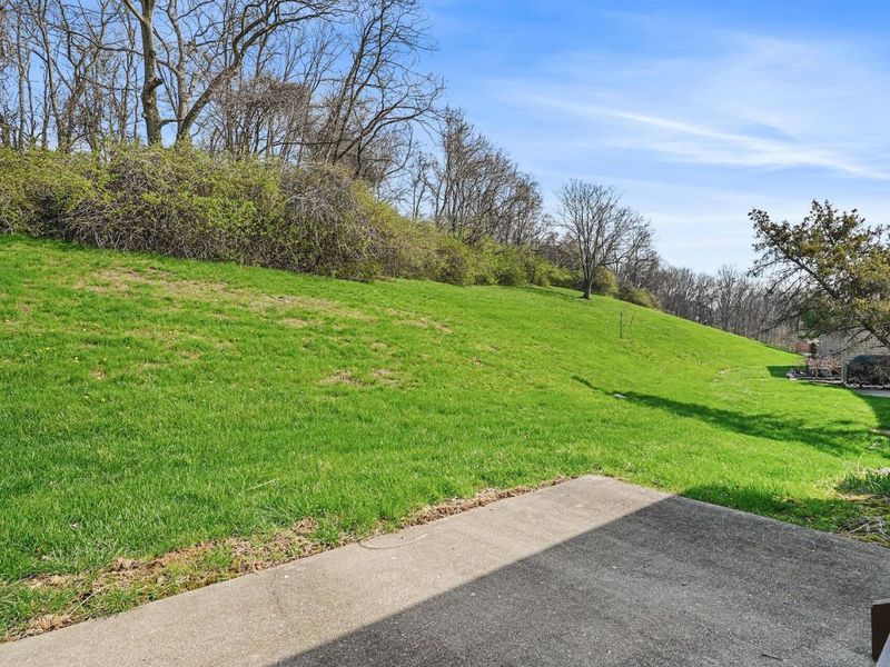 2156 Tantallon Drive, Fort Mitchell, KY 41017 Photo 7