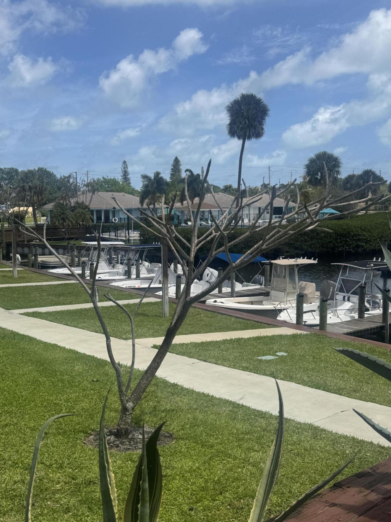 1444 SE Riverside Drive Se, Unit B-7, Stuart, FL 34996 Photo