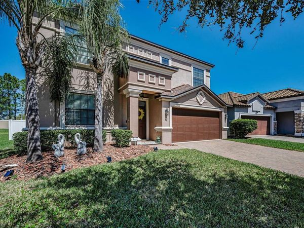 11922 FROST ASTER DRIVE , RIVERVIEW, FL 33579