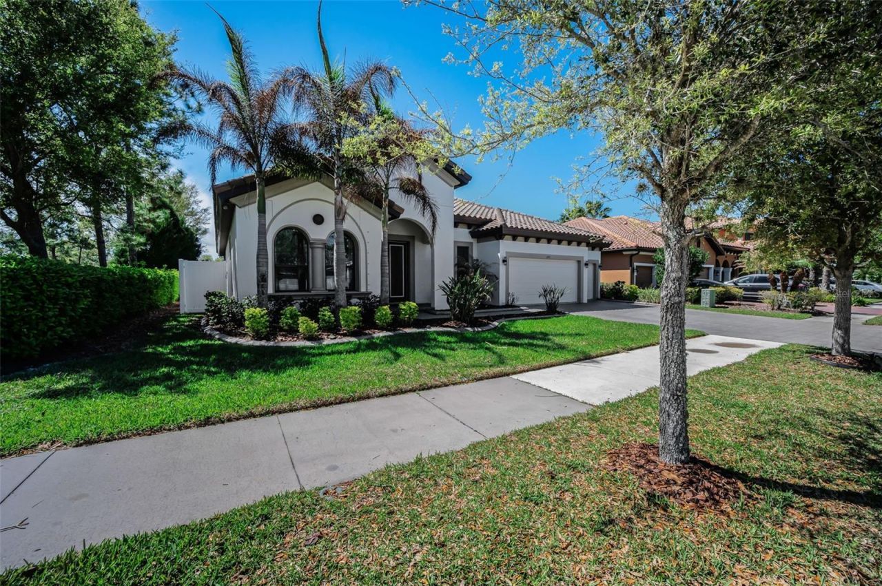 11891 Frost Aster Drive, Riverview, FL 33579 Photo