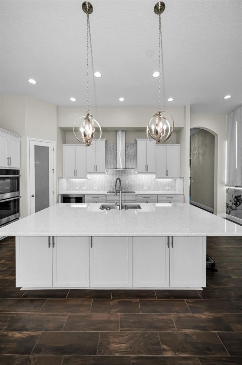 11891 Frost Aster Drive, Riverview, FL 33579 Photo