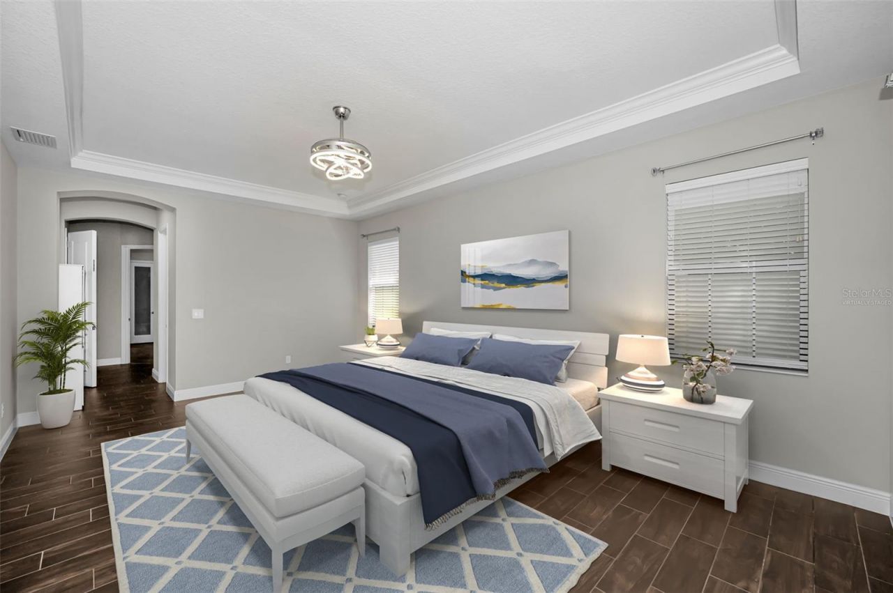 11891 Frost Aster Drive, Riverview, FL 33579 Photo