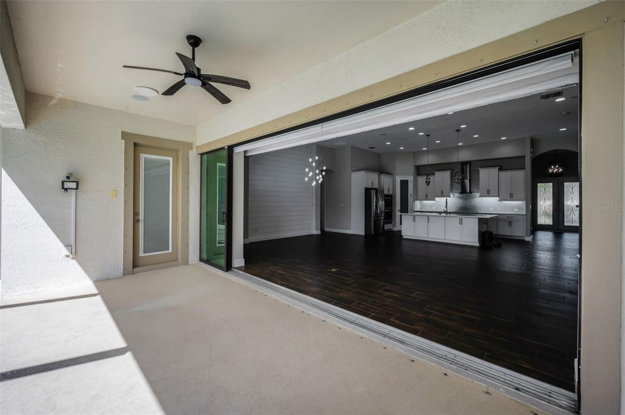 11891 Frost Aster Drive, Riverview, FL 33579 Photo