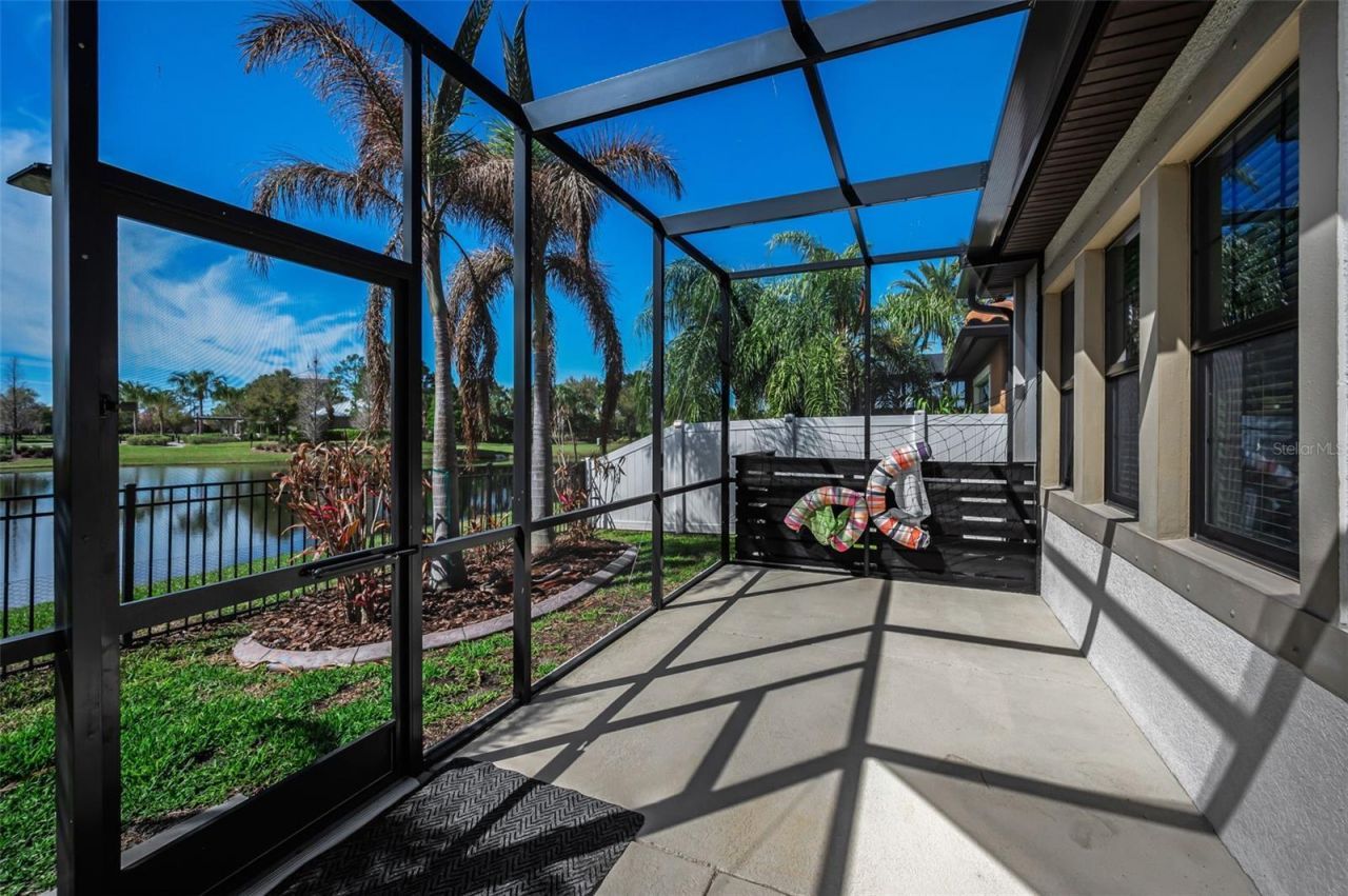 11891 Frost Aster Drive, Riverview, FL 33579 Photo