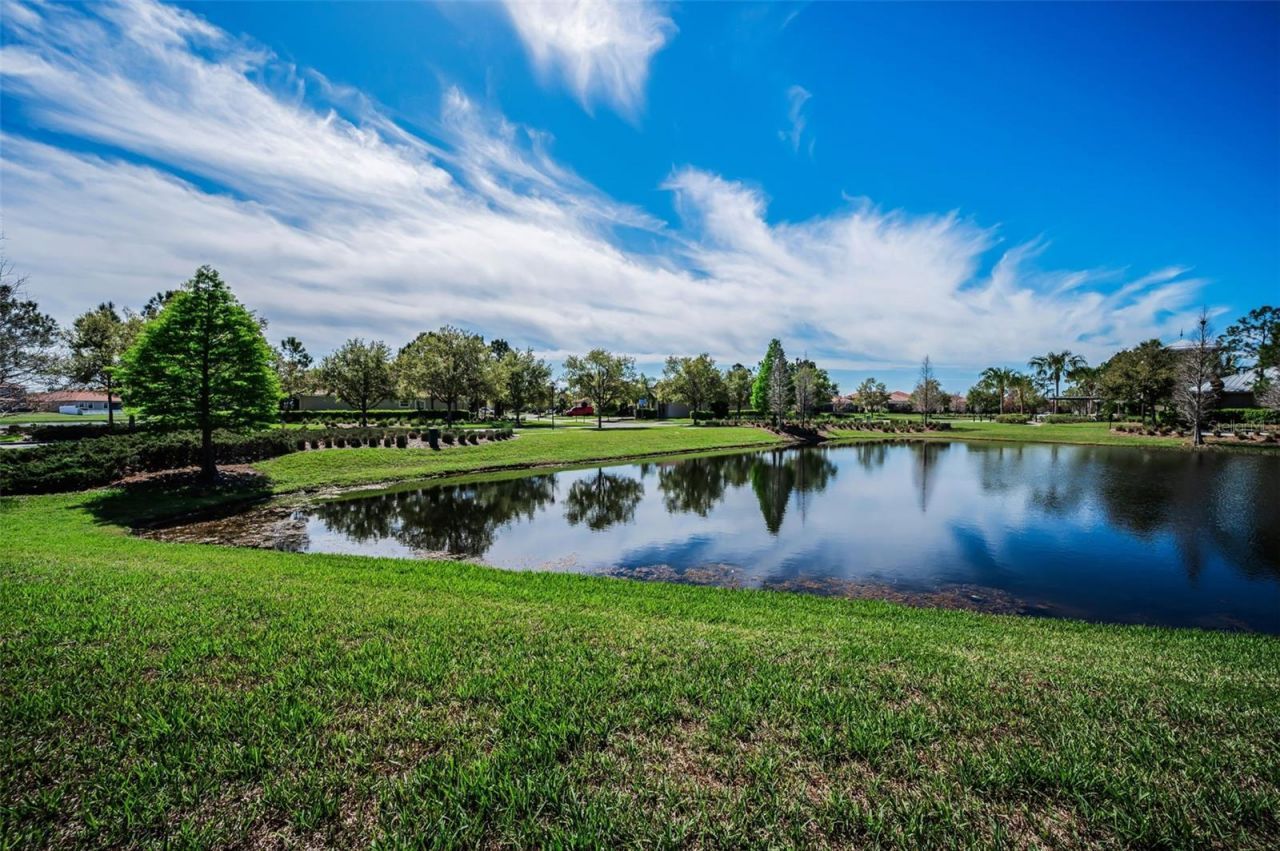 11891 Frost Aster Drive, Riverview, FL 33579 Photo