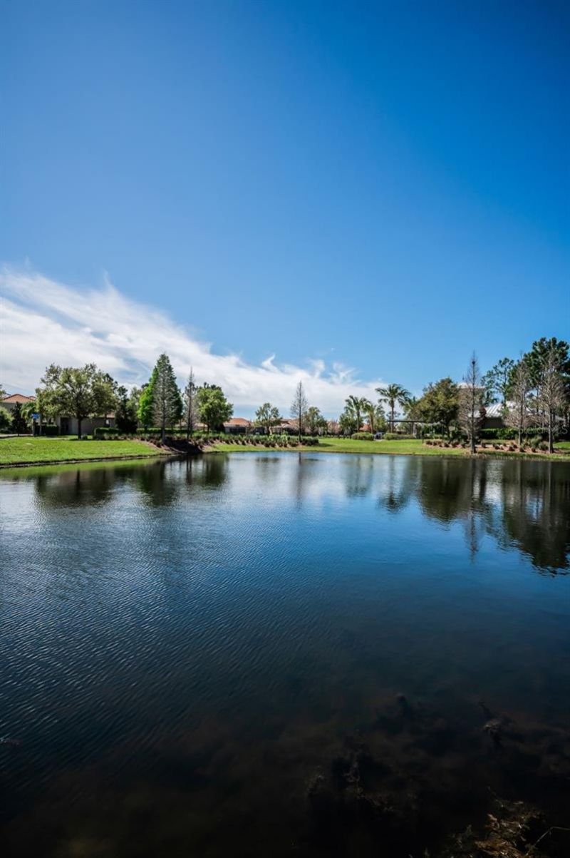 11891 Frost Aster Drive, Riverview, FL 33579 Photo