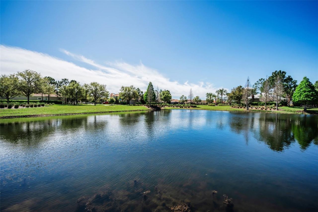 11891 Frost Aster Drive, Riverview, FL 33579 Photo